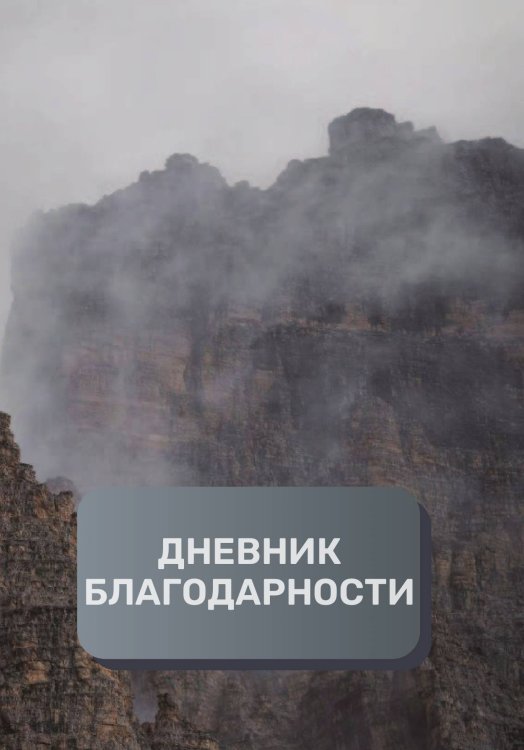 Обложка книги «Дневник благодарности, премиум (подарочное) издание, 300 страниц» — автора нет, ISBN 9785521896653
