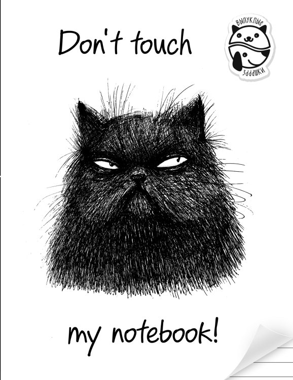 Обложка книги «Блокнот Don't touch my notebook! (линейка)» — Нет автора, ISBN 9785041201371