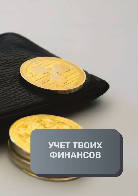 Обложка книги «Учет твоих финансов» — автора нет, ISBN 9785521892259