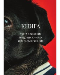 Книга учета трудовых книжек и вкладыщей к ним