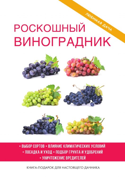 Роскошный виноградник