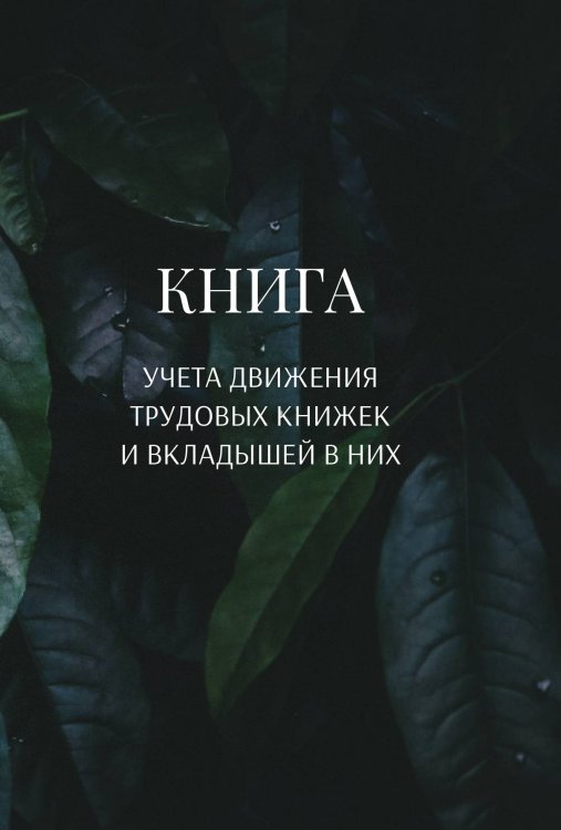 Обложка книги «Книга учета трудовых книжек и вкладыщей к ним» — автора нет, ISBN 9785521888351