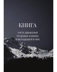 Книга учета трудовых книжек и вкладыщей к ним