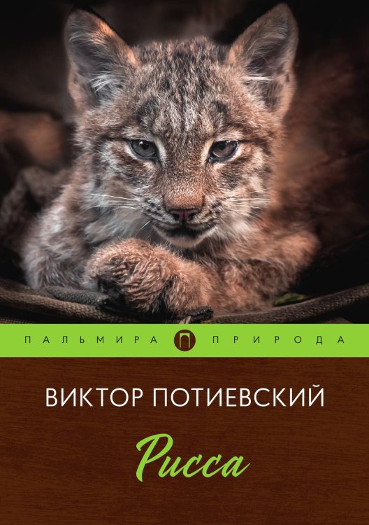 Обложка книги «Рисса» — Виктор Потиевский, ISBN 9785517021045