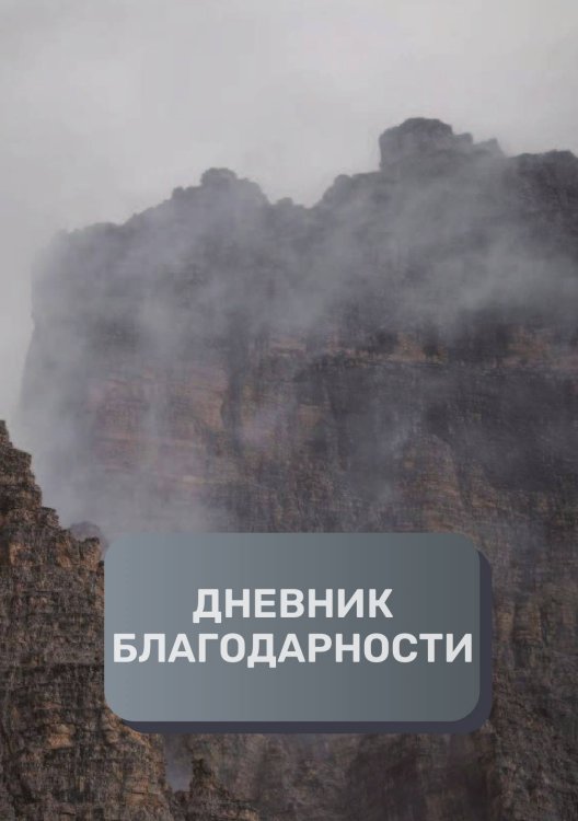 Обложка книги «Дневник благодарности, премиум (подарочное) издание, 100 страниц» — автора нет, ISBN 9785521896523