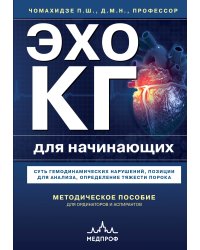 Эхокардиография для начинающих. Суть гемодинамических нарушений, позиции для анализа, определение тяжести порока