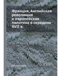 Франция, Английская революция и европейская политика в середине XVII в.