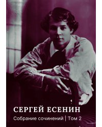 Собрание сочинений. Том 2