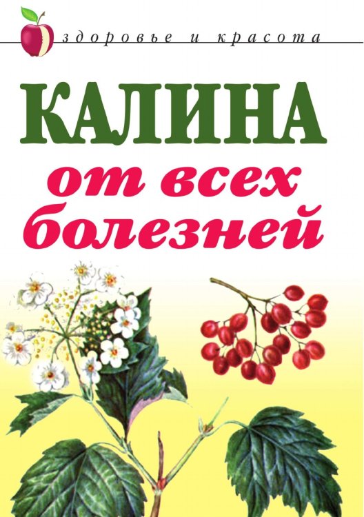 Калина от всех болезней Калина от всех болезней