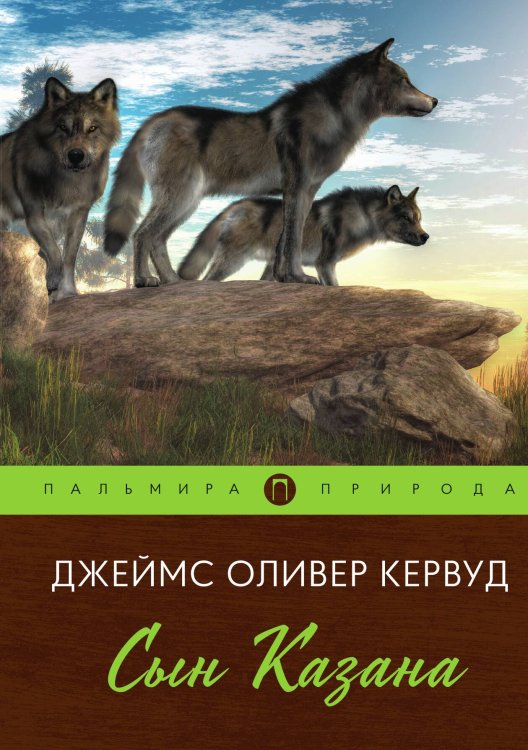 Обложка книги «Сын Казана» — Джеймс Оливер Кервуд, ISBN 9785517085764