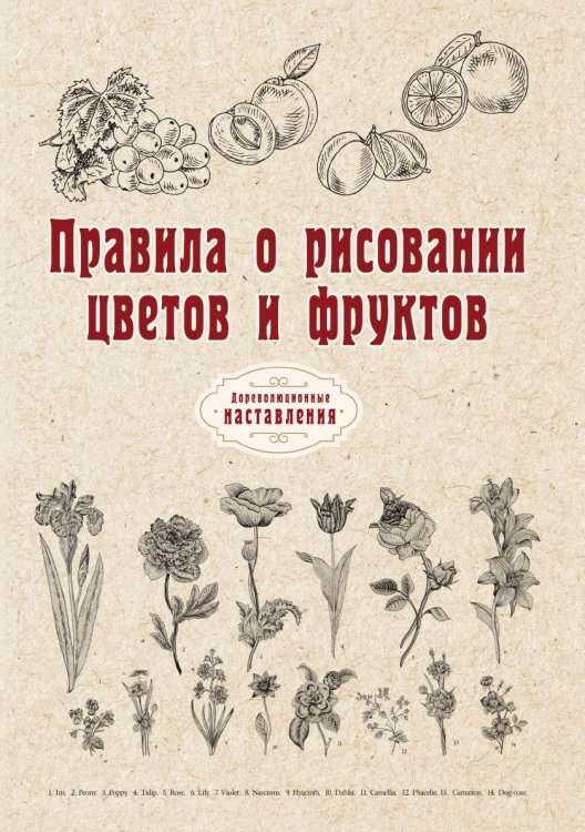 Обложка книги «Правила о рисовании цветов и фруктов» — автора Нет, ISBN 9785521775767