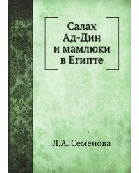 Салах Ад-Дин и мамлюки в Египте