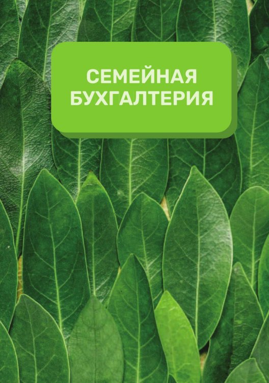 Обложка книги «Семейная бухгалтерия на год» — автора нет, ISBN 9785521891009