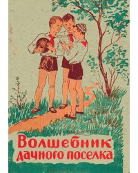Волшебник дачного поселка