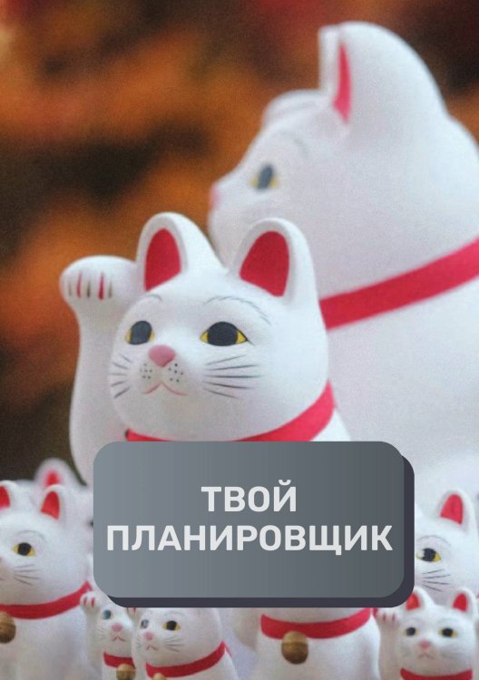 Обложка книги «Твой планировщик» — автора нет, ISBN 9785521894864