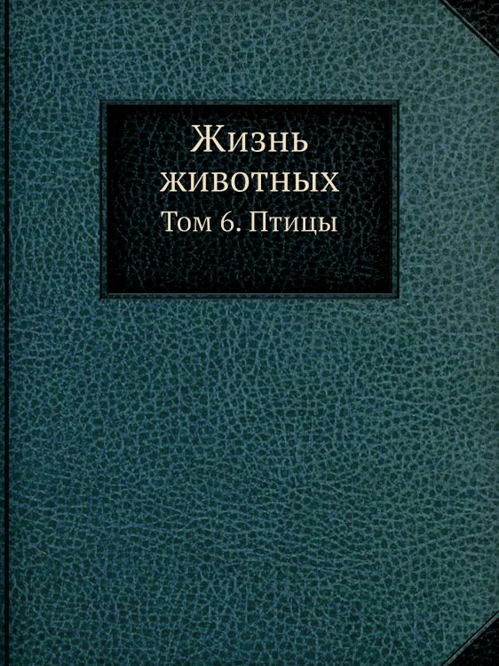 Жизнь животных Жизнь животных