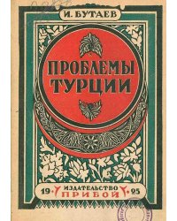Национальная революция на востоке. Проблема Турции