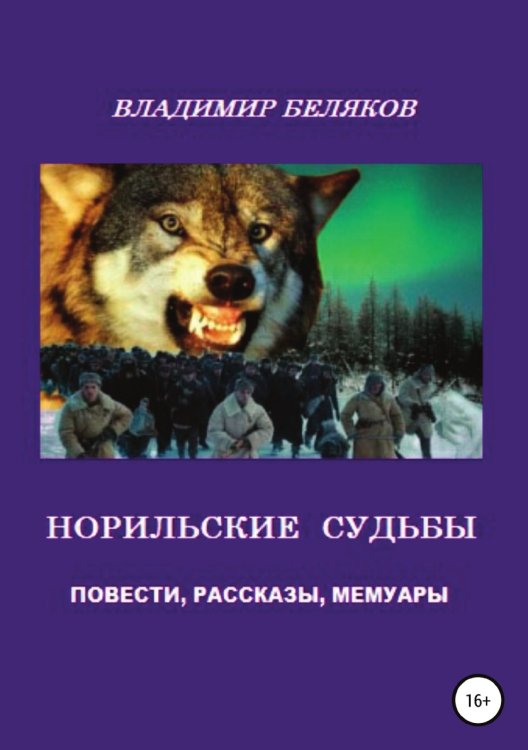 Обложка книги «Норильские судьбы» — Владимир Беляков, ISBN 9785532997677