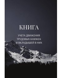 Книга учета трудовых книжек и вкладыщей к ним