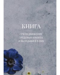 Книга учета трудовых книжек и вкладыщей к ним