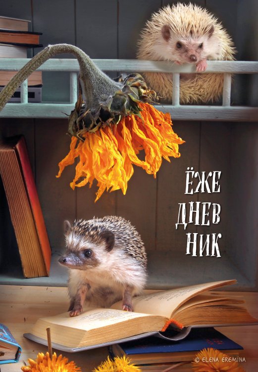 Обложка книги «Ёжедневник. Блокнот для людей и ежей (книги) (А5, 72 л.)» — Нет автора, ISBN 9785042417955