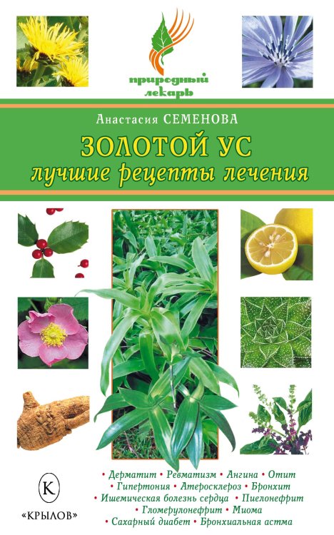 Обложка книги «Золотой ус. Лучшие рецепты лечения» — Семенова А., ISBN 9785971707776