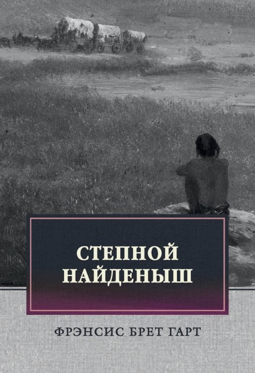 Обложка книги «Степной найденыш» — Фрэнсис Брет Гарт, ISBN 9785521743780