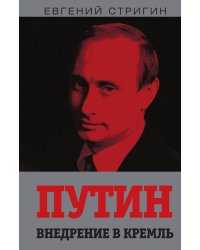 Путин. Внедрение в Кремль