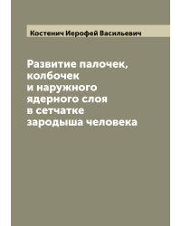 Развитие палочек, колбочек и наружного ядерного слоя в сетчатке зародыша человека