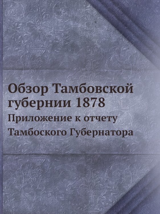 Обзор Тамбовской губернии 1878