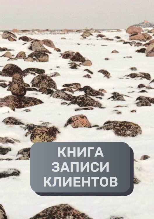 Обложка книги «Книга записи клиентов» — автора нет, ISBN 9785521894376