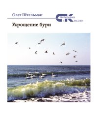 Укрощение бури