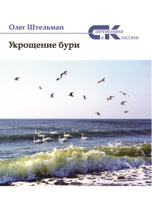 Обложка книги «Укрощение бури» — Штельман Олег, ISBN 9785906957870