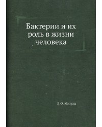 Бактерии и их роль в жизни человека