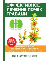 Эффективное лечение почек травами