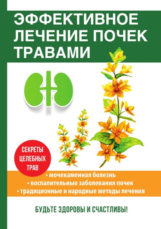 Эффективное лечение почек травами Эффективное лечение почек травами