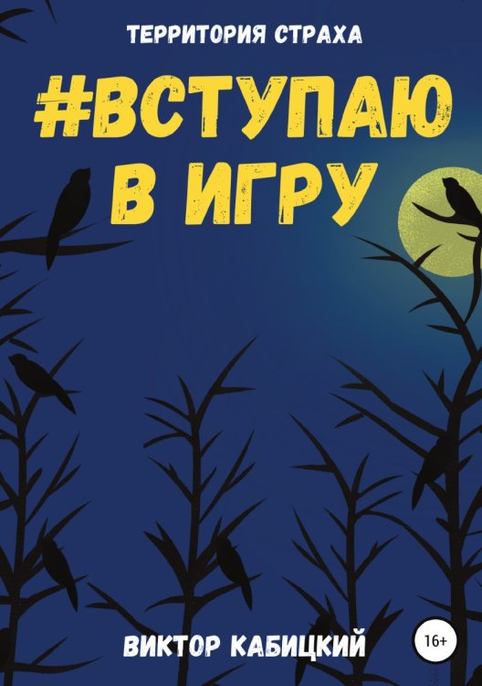 Обложка книги «Вступаю в игру» — Виктор Кабицкий, ISBN 9785532947702