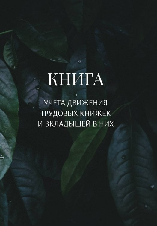 Книга учета трудовых книжек и вкладыщей к ним Обложка книги «Книга учета трудовых книжек и вкладыщей к ним» — автора нет, ISBN 9785521888023