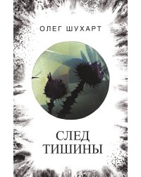 След тишины