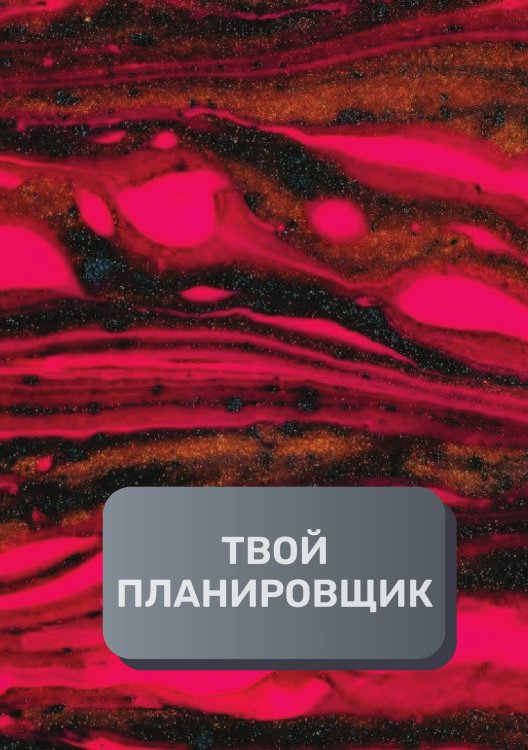 Обложка книги «Твой планировщик» — автора нет, ISBN 9785521894871