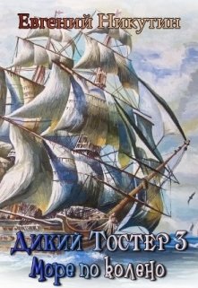 Обложка книги «Дикий Тостер 2. Море по колено.» — Евгений Никутин, ISBN 9785524045737