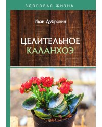 Целительное каланхоэ
