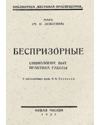 Беспризорные. Социология. Быт. Практика работы