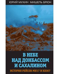 В небе над Донбассом