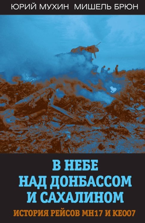 Обложка книги «В небе над Донбассом» — Мухин Юрий Игнатьевич; Брюн Мишель, ISBN 9785001803409