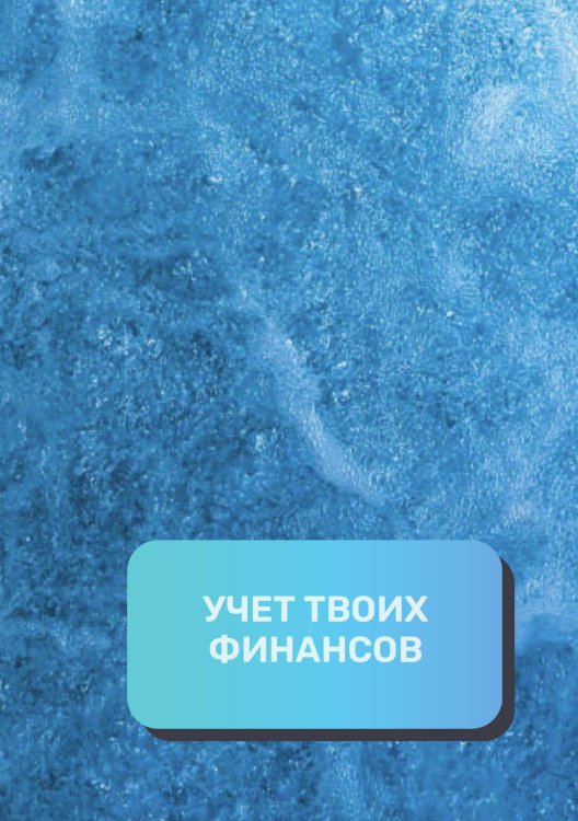 Обложка книги «Учет твоих финансов» — автора нет, ISBN 9785521892303