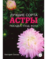 Астры. Лучшие сорта