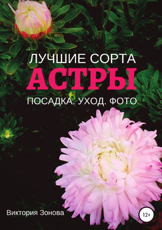 Обложка книги «Астры. Лучшие сорта» — Виктория Зонова, ISBN 9785532982376
