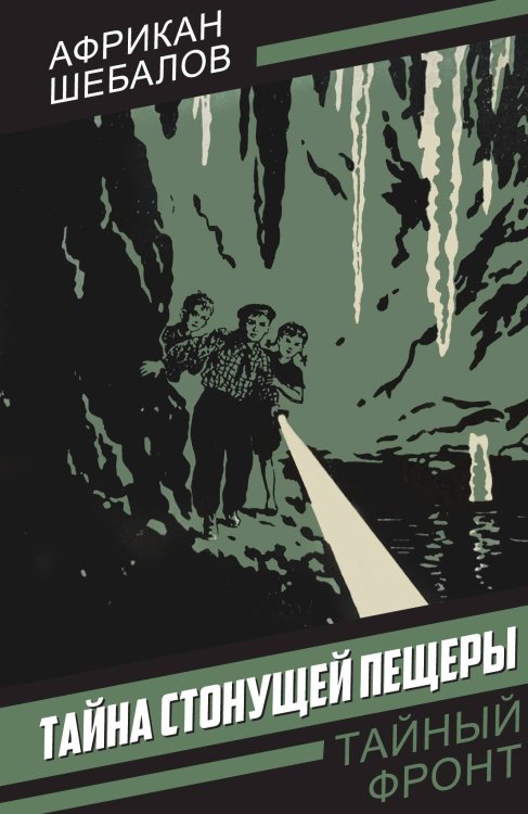 Обложка книги «Тайна стонущей пещеры: Повесть» — Шебалов А.А., ISBN 9785002692101