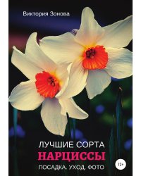 Нарциссы. Лучшие сорта